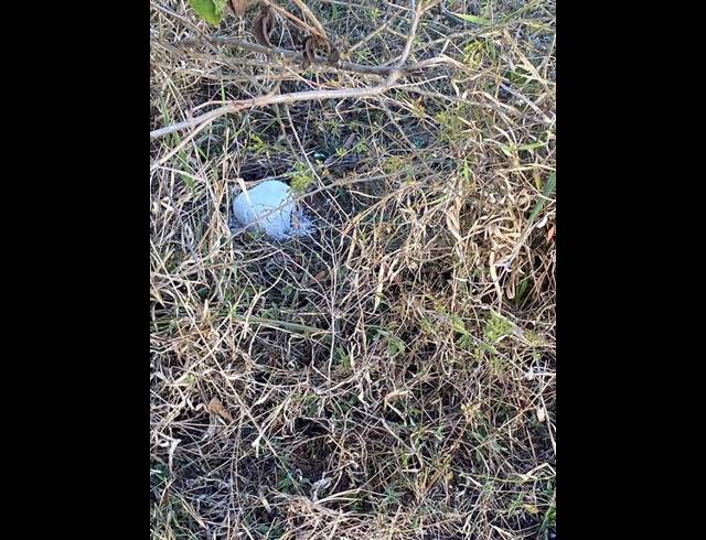 LAND FOR SALE IN TSWINGA